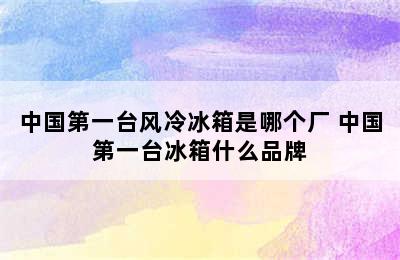 中国第一台风冷冰箱是哪个厂 中国第一台冰箱什么品牌